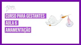 AULA 6 - AMAMENTAÇÃO