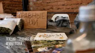 Травница Ирина Вирясова (Осока). Беседа про травную аптечку. Часть 1