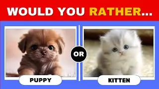 Would You Rather | Animal Edition 🐶🐱