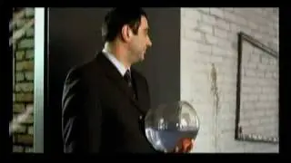 Rasac Daazgvev - Shenia (IC-Group Commercial)