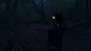 Picture Reveal video