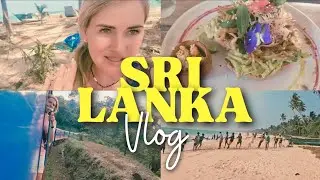 Sri Lanka travel vlog of a lifetime 🌞🌴 #srilanka #vlog #srilankanfood #srilankatravel #srilankato...