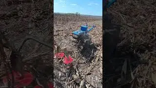 ТЯЖЁЛЫЙ ДИЗЕЛЬНЫЙ МОТОБЛОК С КОСИЛКОЙ  😁 CORN HARVESTING SEASON 2024