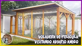 Voladera de Película visitando aviario amigo🦜