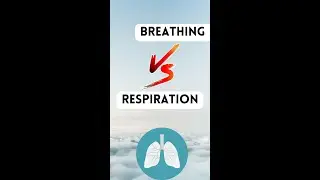 Breathing VS Respiration #difference #shorts
