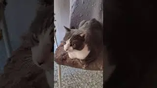 Кто это сделал🫢 , не поверите😉
