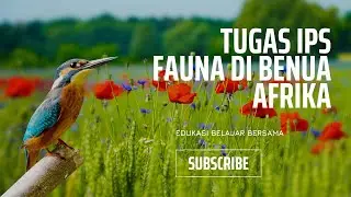 Tugas IPS - Fauna Di Benua Afrika (IPS Kelas 9)~Calista - Kelas 9B