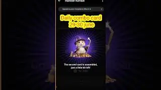 Hamster kombat daily combo 29-30 June 2024