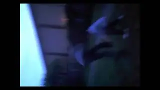 Risky Backflippin