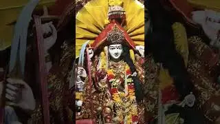 #sherowalimaa ❤️#matarani 🌹#durgamaa 🙏#shorts #viral #trending 😊😊