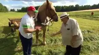 Депардье на белорусской ферме