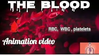 THE BLOOD |ANIMATION VIDEO| |science and geography| #biology #youtubevideo #humananatomy