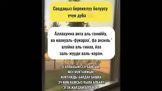 Дубалар Топтому #дуба #деньги #дуо #дуолар#travel#природа#nature#рекомендации#rek#recipe#recommended