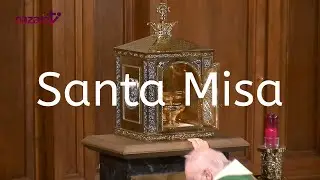 Santa Misa de hoy martes 29 de octubre de 2024. Rvdo. Enric Ribas, pbro.