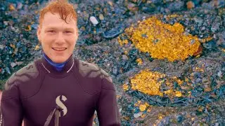 Kid's first job after high school is diving for gold and he hits the motherlode immediately