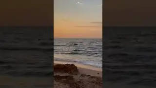 18 сентября 2022 г.