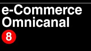 Introducción al comercio electrónico VIII - Omnicanalidad