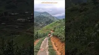 ⚙️ Demanding Activity ⚙️ Vietnam Motorbike Tours #vietnam #motorcycle #motorbike #tours #wayoflife