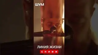 Сплин - ТОП 5 песен группы