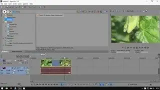Sony Vegas Pro 13: How to Unlink Audio from Video