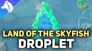 Land of The Sky Fish Droplet Location Zelda Tears of The Kingdom