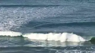Wave Swallows Surfer in Encinitas, San Diego