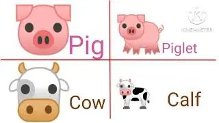 Animals & young dog puppy,duck duckling cat kitten cow calf goat kid chicken chick.young animal pig