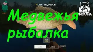 Русская рыбалка 4. Карп на фидер на Медвежьем.