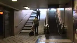 Stairs VS Escalator