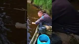 красотуличка 