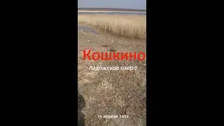 Разведка перед рыбалкой | Кошкино Апрель 2021| Весенняя ловля плотвы | Ладожское озеро