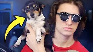 I have an announcement. ❱ Reading Your Comments - Part 44