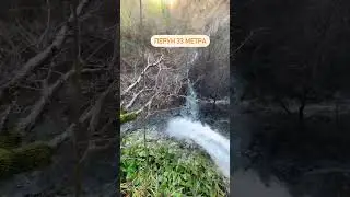 Балу становиться известным 😂