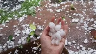 Aaj kanpur me ole gire last me dekho kya hota hai #kanpur #barish #please_subscribe_my_channel