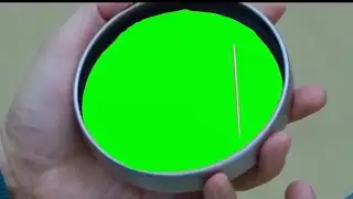 Green Screen Squid Game TikTok Meme Template