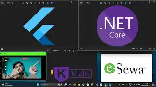 Nicely Explained: Khalti Esewa Practice Flutter Setup. Marketing my GenericState and BaseRepository.