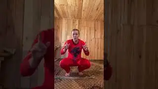 Домашнее задание 1.2