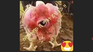 8ኛው ሺህ በእርግጥም ይህ ነው ።