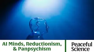 AI Minds, Reductionism, & Panpsychism
