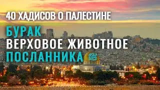 Бурак — верховое животное Посланника ﷺ, которое перенесло его из Мекки в Иерусалим