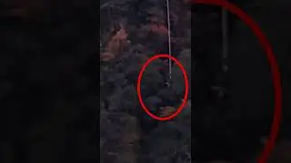 Bungy Jumping || Ryujin Bungee Jumping in Japan