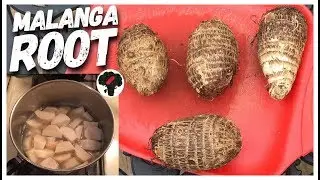 How To Cook Malanga Root