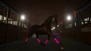 dressage animations draft