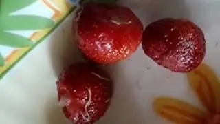 Клубника с глистами