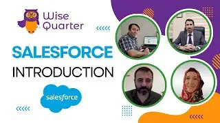 Salesforce Introduction | Wise Quarter