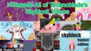 I Recreated All of Technoblade's Skyblock Videos (Hypixel Skyblock)