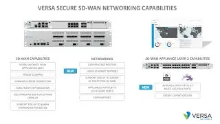 What are the networking capabilities of Versa Secure SD-WAN?