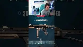 This is still the best Vandal in Valorant