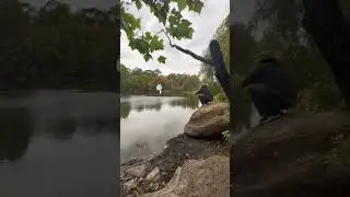 Water Bending Demonstration (Hydrokinesis)