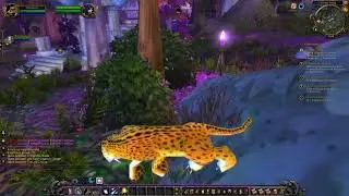 wow marathon highlights